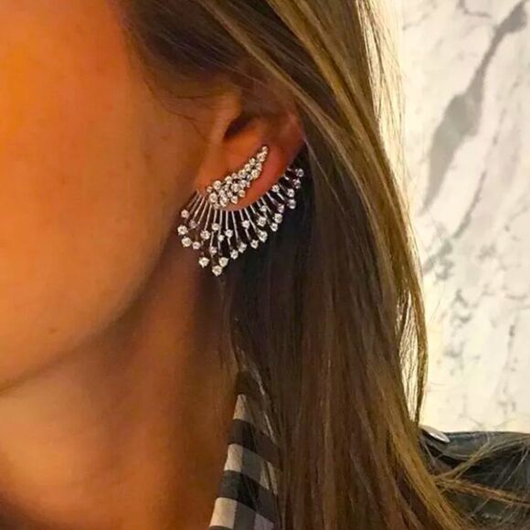 Stunning Dazzling Earring - Picture 1 of 5